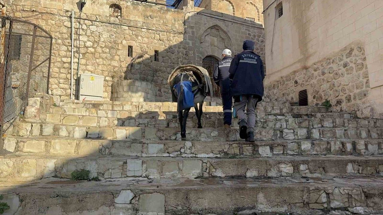 Mardin Artuklu’da Kadrolu Eşekler Emekli Ediliyor — Paletli Çöp Araçları Geliyor