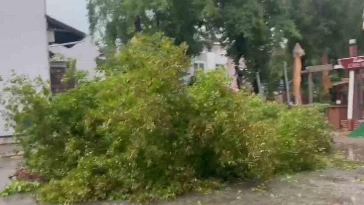 Marmaris'te Sağanak ve Fırtına: Ağaçlar Yollara Devrildi