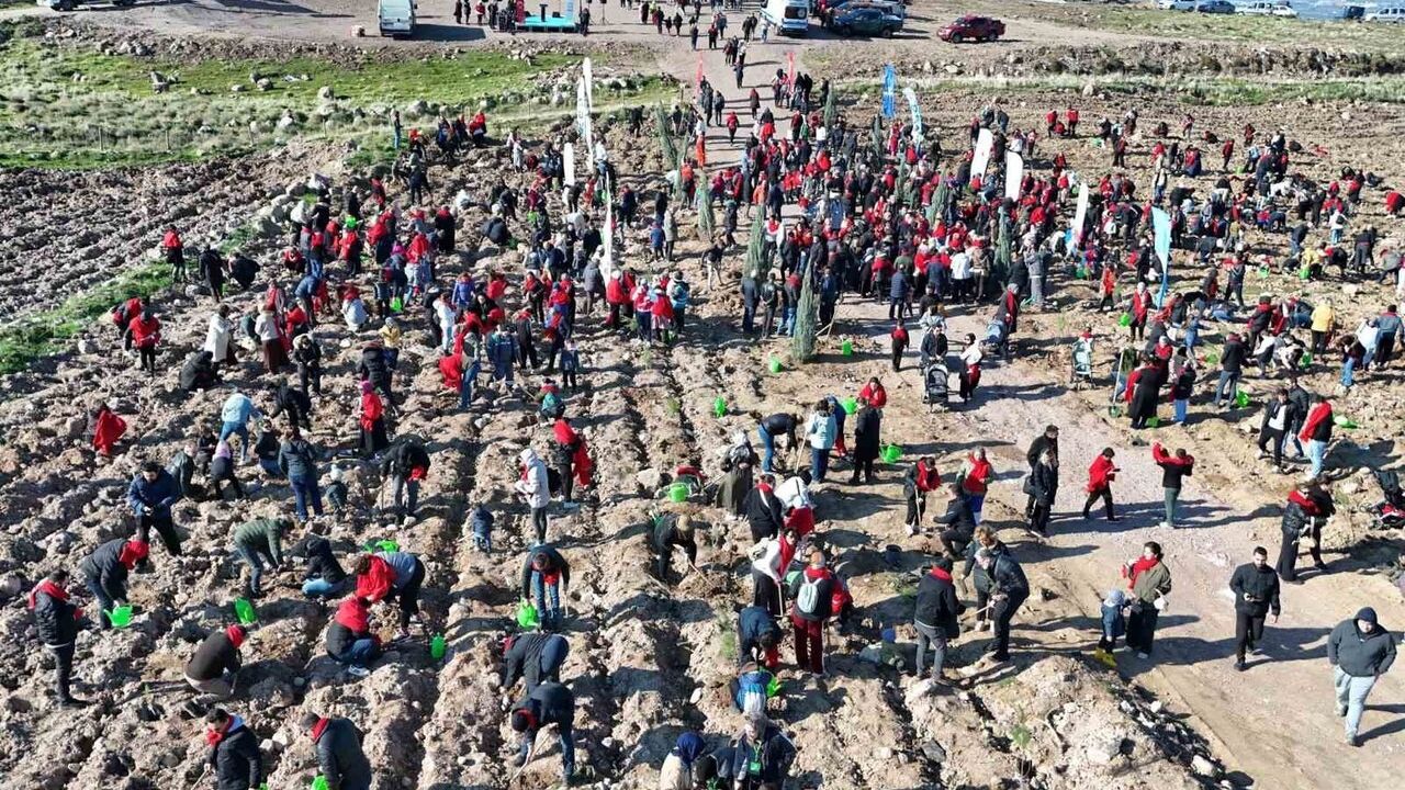 Menemen Belediyesi 5 Bin Fidanı 'İyi ki Doğdun Bebek'ler İçin Dikti