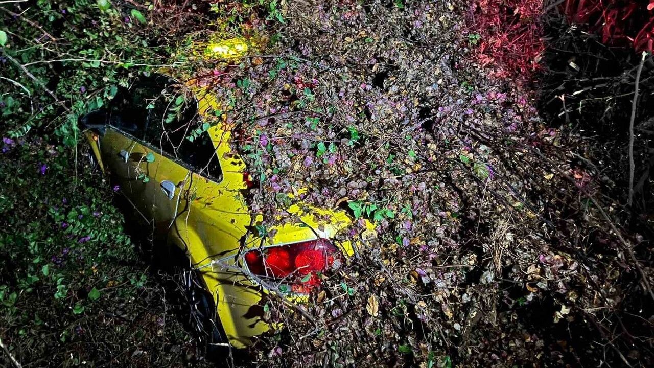 Mersin'de Ağaç Otomobilin Üzerine Devrildi: Sürücü Yaralanmadı