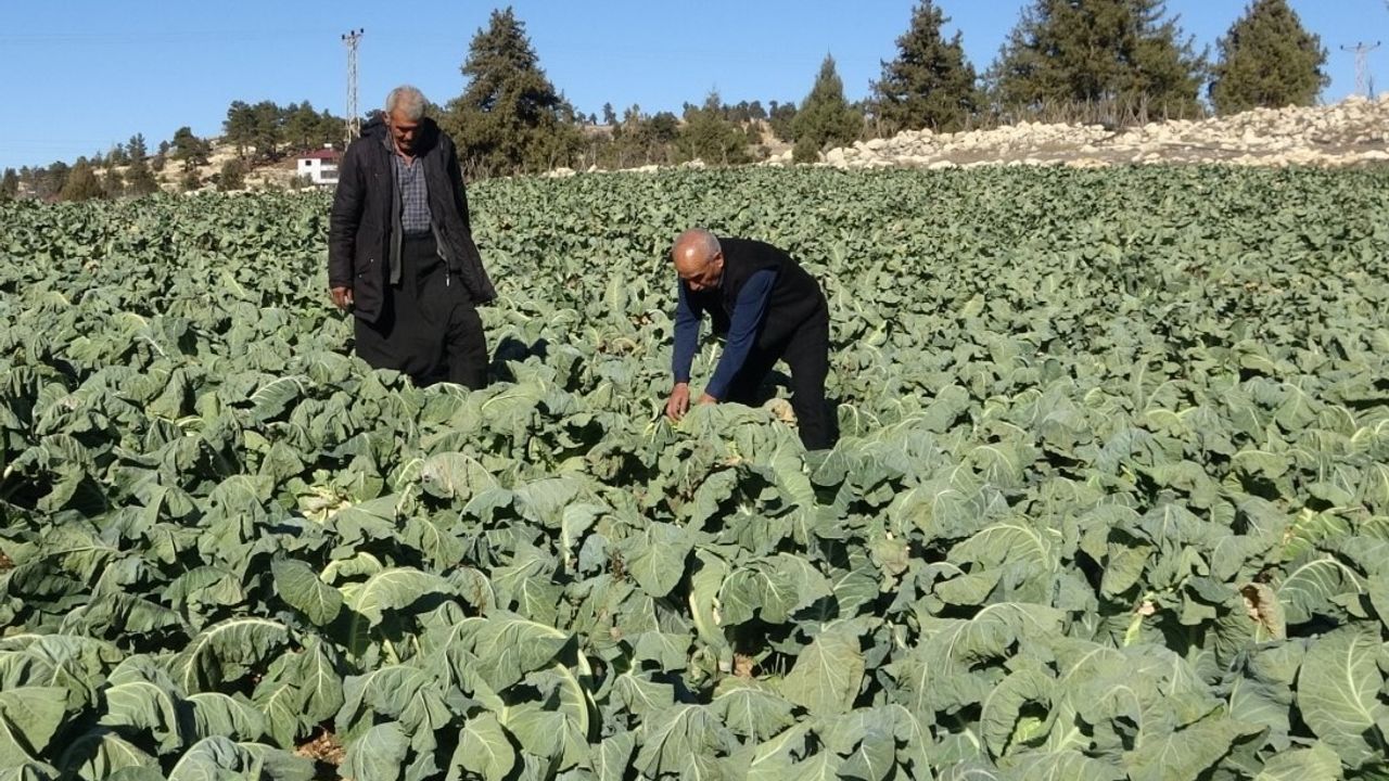 Mersin’de Çamurlu Ayakkabısını Çıkarıp Çorapla Markete Girdi: 'Yine olsa yine yaparım'