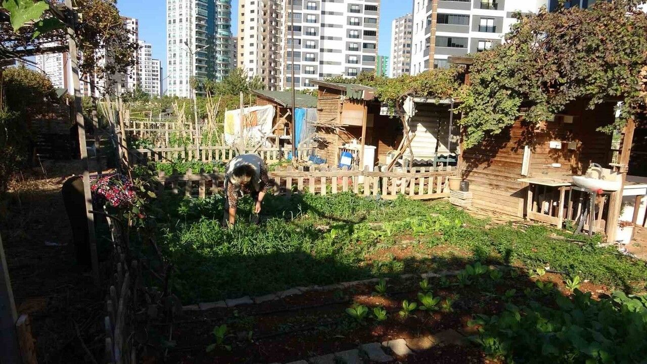 Mersin'de Hobi Bahçesi Krizi: Mezitli Belediyesi'nin Yıkım Kararı Tepki Çekti