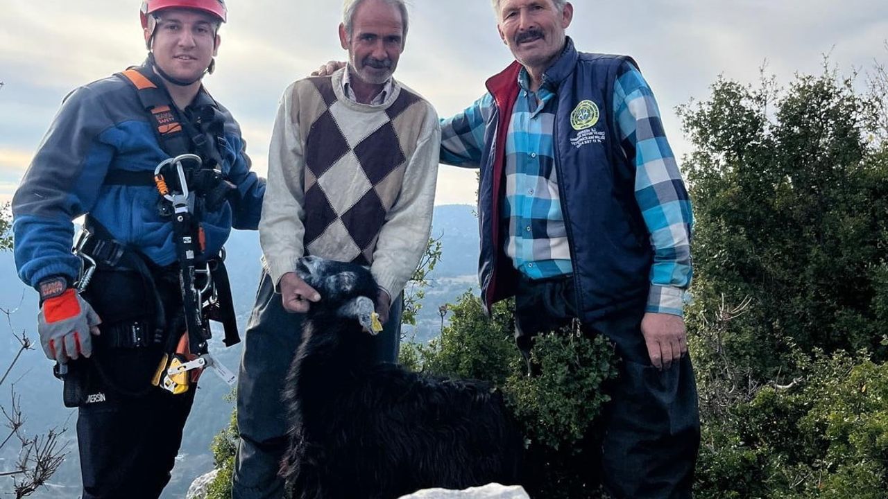 Mersin'de İtfaiye 2 Keçiyi Kayalıklardan Kurtardı