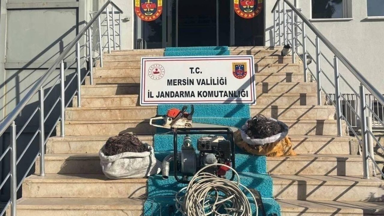 Mersin'de Trafo Kablo Hırsızlığı: 2 Şüpheli Tutuklandı
