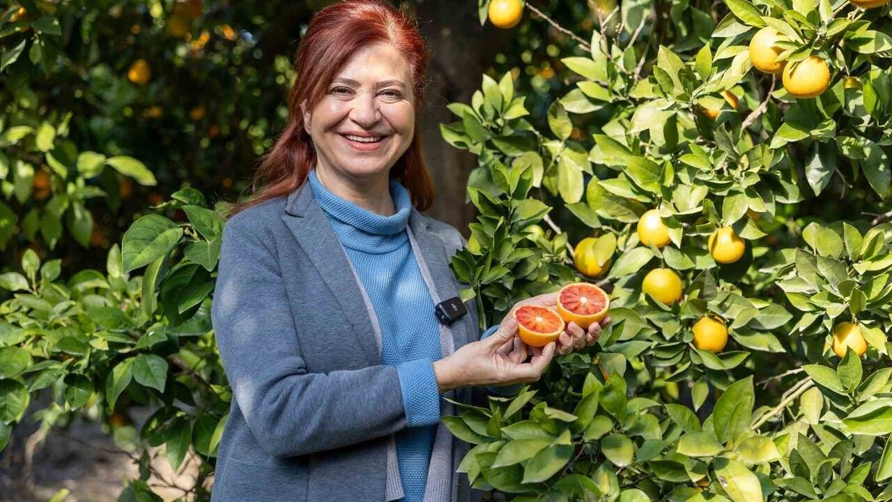 Mersin Kan Portakalı AB Tescili Hedefi: Coğrafi İşaretle Korunuyor