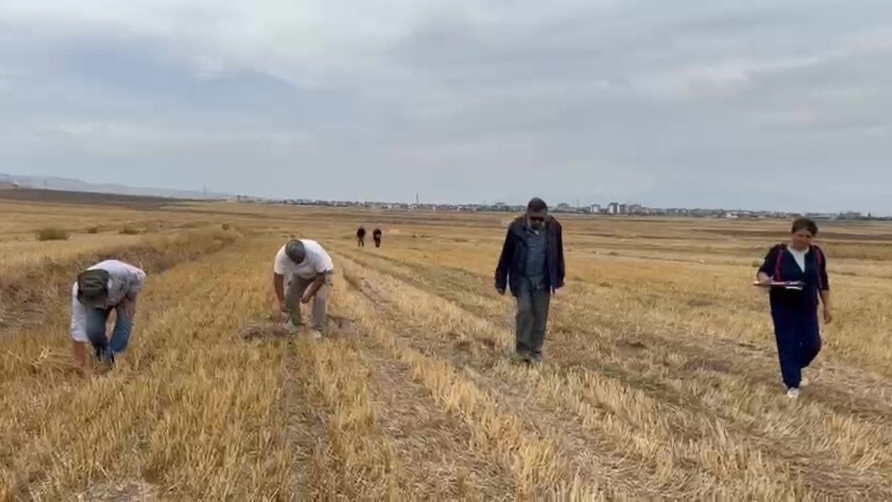 Merzifon Savaşı'nda Kritik Keşif: 1101 Haçlı Güzergahı ve Bozguna Uğratılan Kale Bulundu