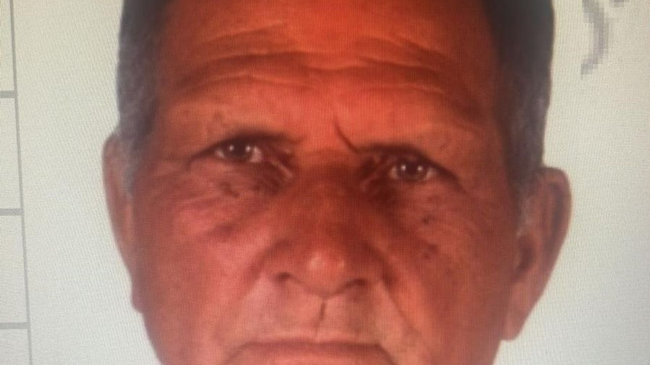 Milas'ta mantar toplarken kaybolan 70 yaşındaki Nahit Bahar aranıyor