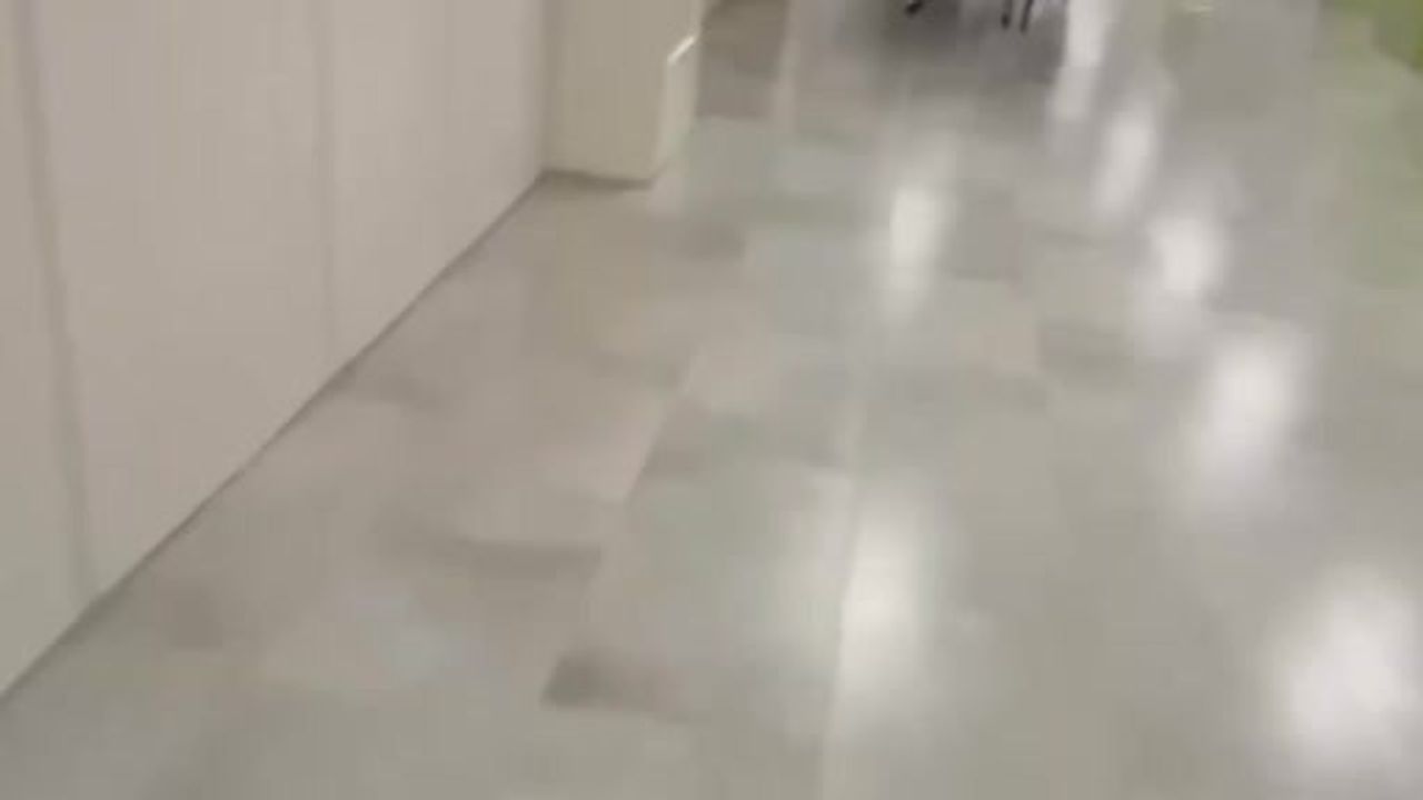 Moskova Bölgesi'nde Okulda Bıçaklı Saldırı: 10 Yaşındaki Öğrenci Öldü