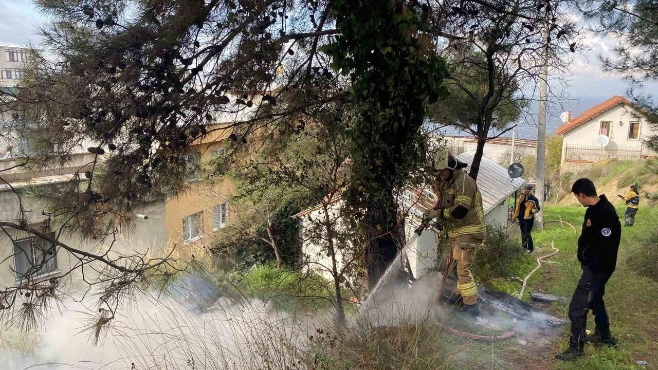 Mudanya'da çamlık yangını büyümeden söndürüldü