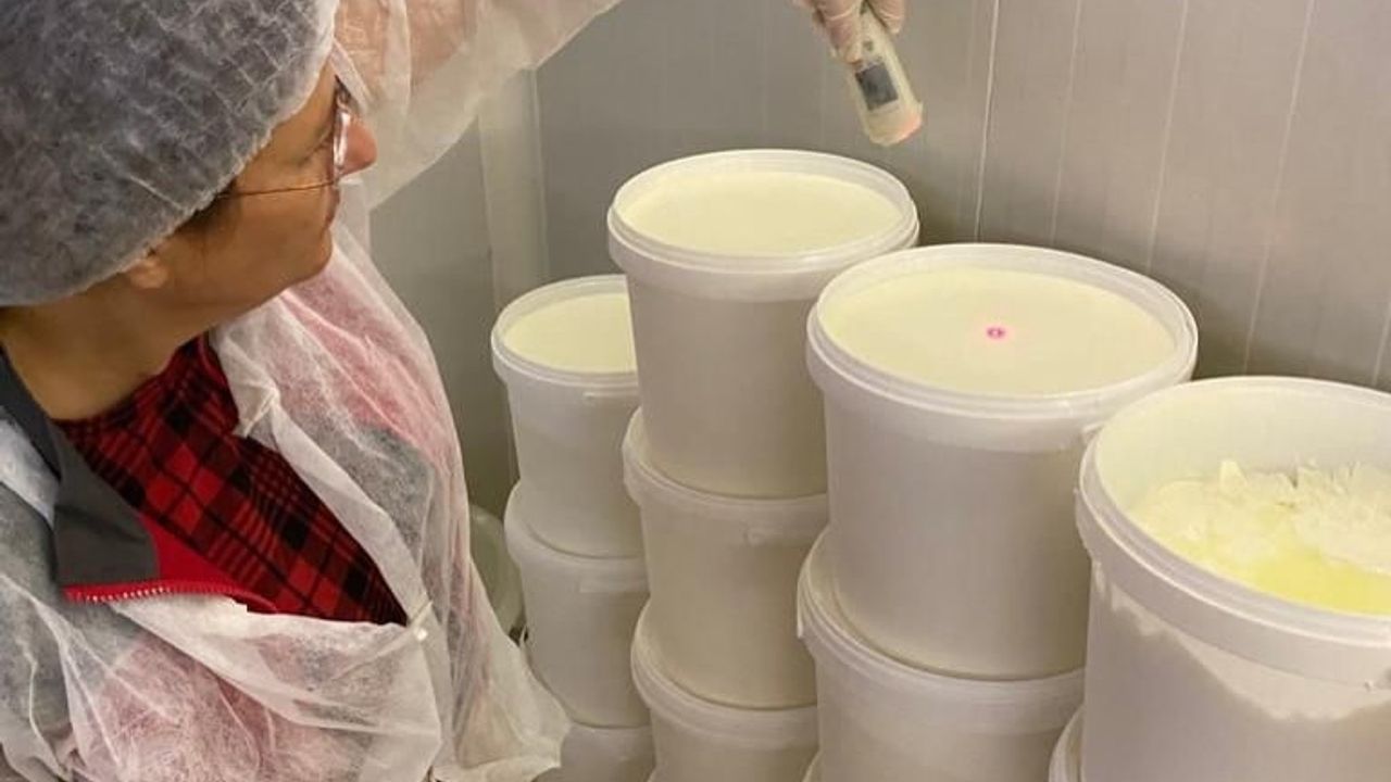 Muğla'da 103 Denetçiyle 'Güvenli Gıda' Operasyonu