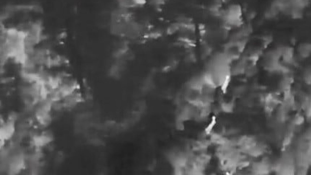 Muğla'da Dron Kalkanı: Yaban Keçileri 7/24 Teknolojik İzlemeye Alındı