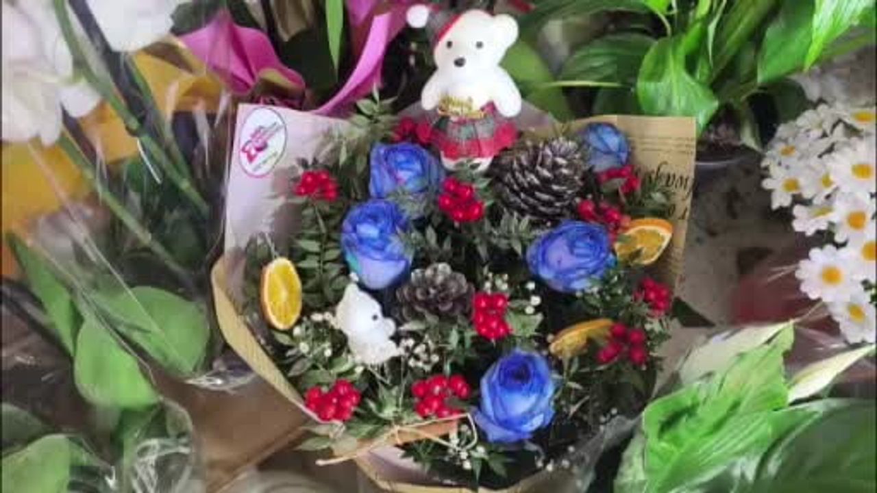 Muğla'da Kokina Çiçeğine Yeni Yıl İlgisi