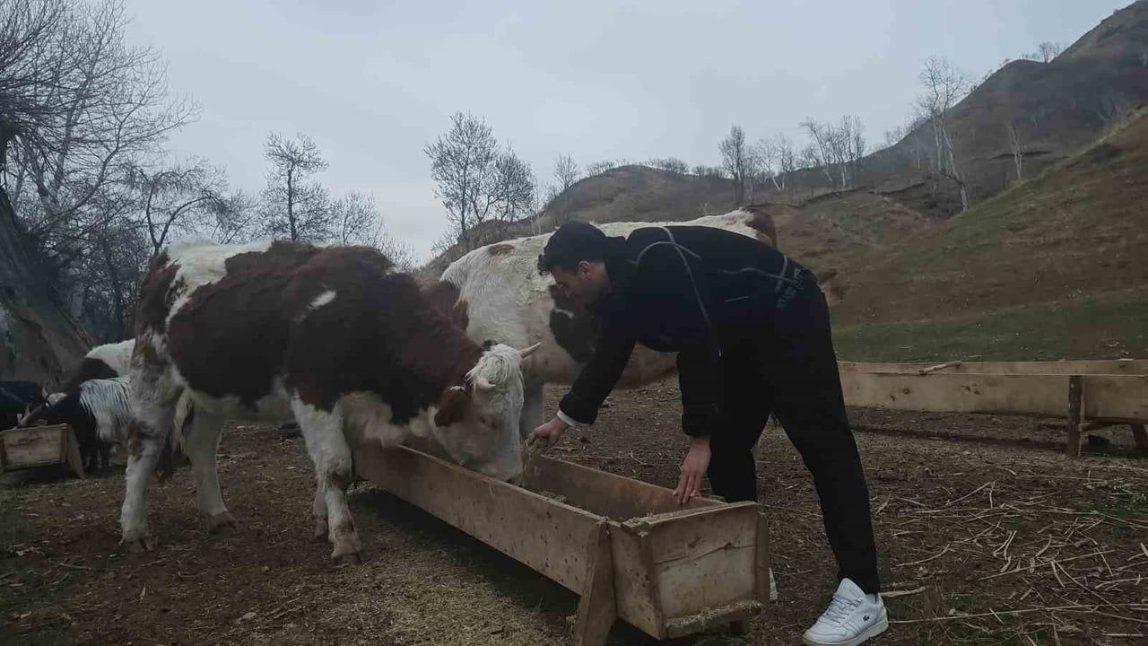 Muş'ta Öğrenciler Keçi Kömü Yaylası'nda Dengbejlik ve Fotoğrafçılık Deneyimi