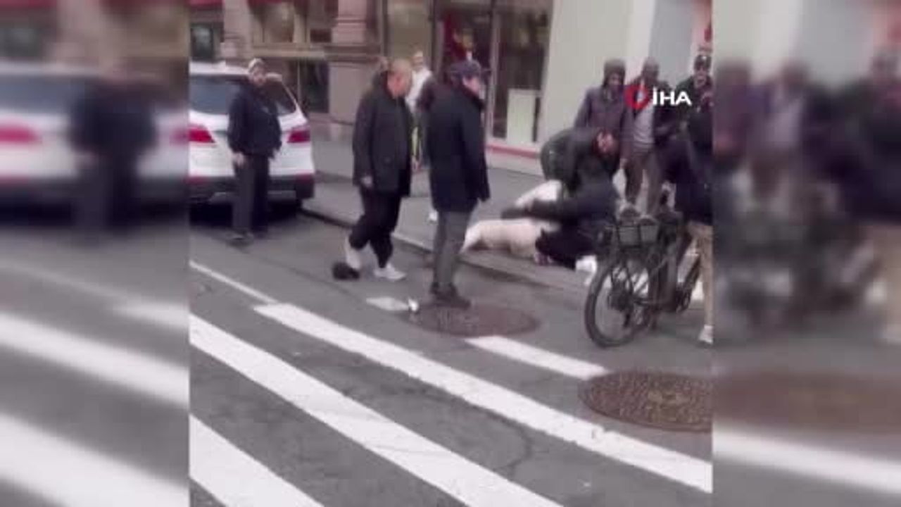 New York'ta pitbull dehşeti: 1 yaşındaki çocuğun bacağını ısırdı