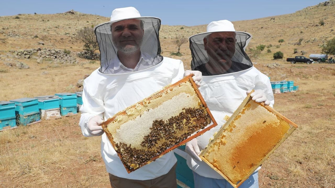 Niğde Geven Balı’na Coğrafi İşaret Tescili