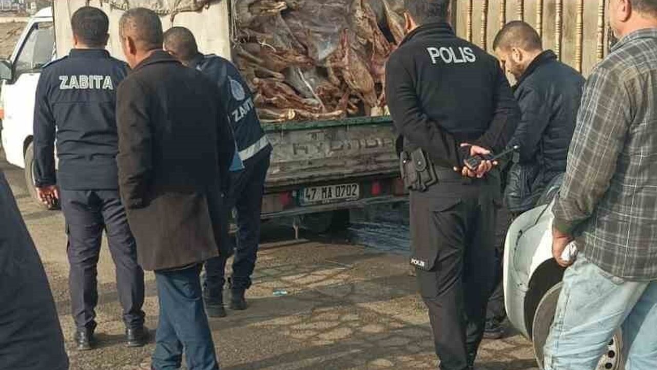 Nizip'te Kamyonet Kasasından Kilolarca Bozuk Et Ele Geçirildi