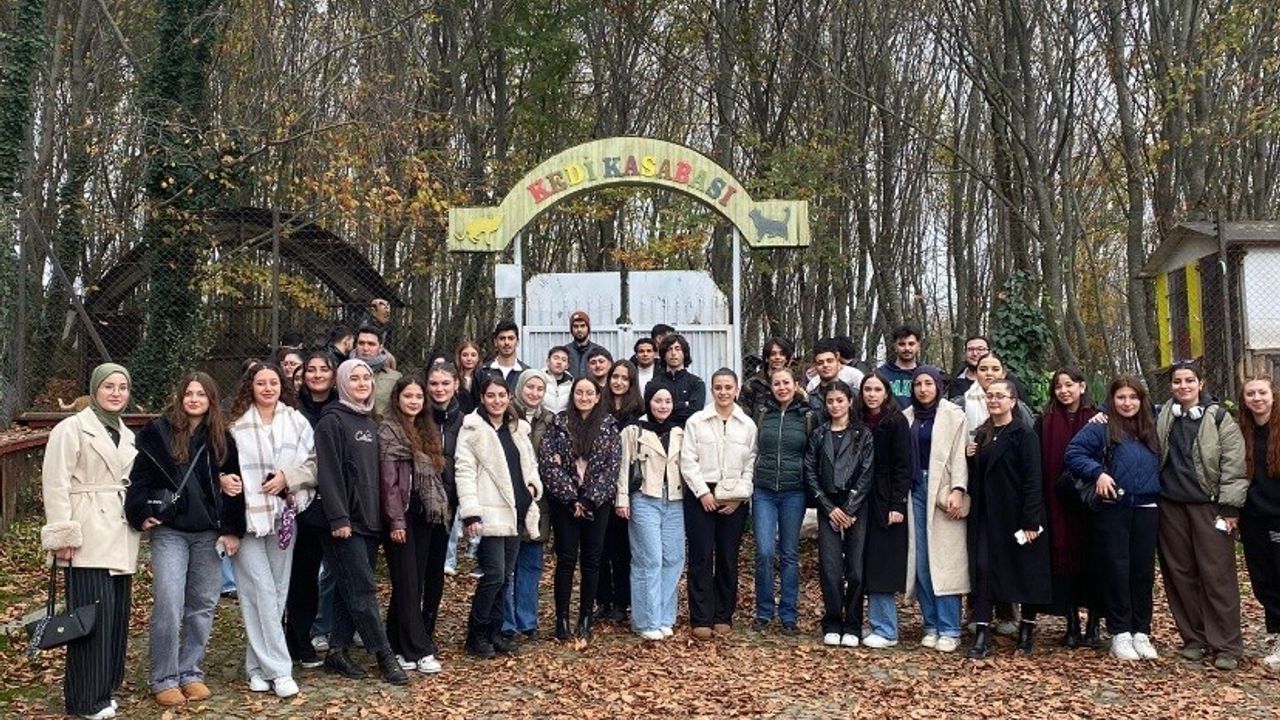 OMÜ’den Sokak Hayvanlarına Destek: Barınağa 312 Kg Mama Bağışı