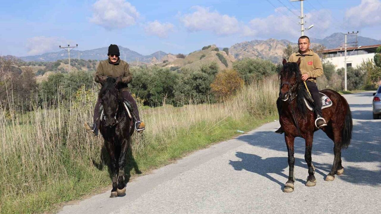 Onbaşıoğlu Ailesi'nin Rahvan At Tutkusu Aydın'da Yarışlara Hazırlıyor