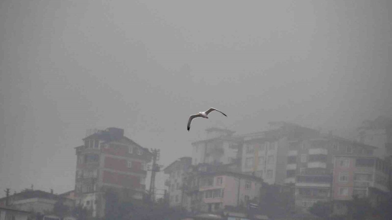 Ordu'da Boztepe'de Kartpostallık Sis Manzarası