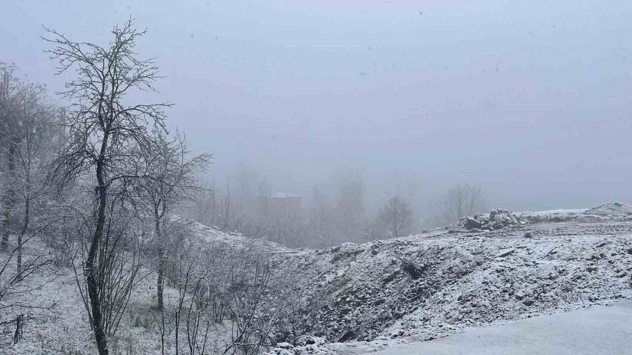 Ordu'da Kar Yağışı: Yaylalar Beyaza Büründü
