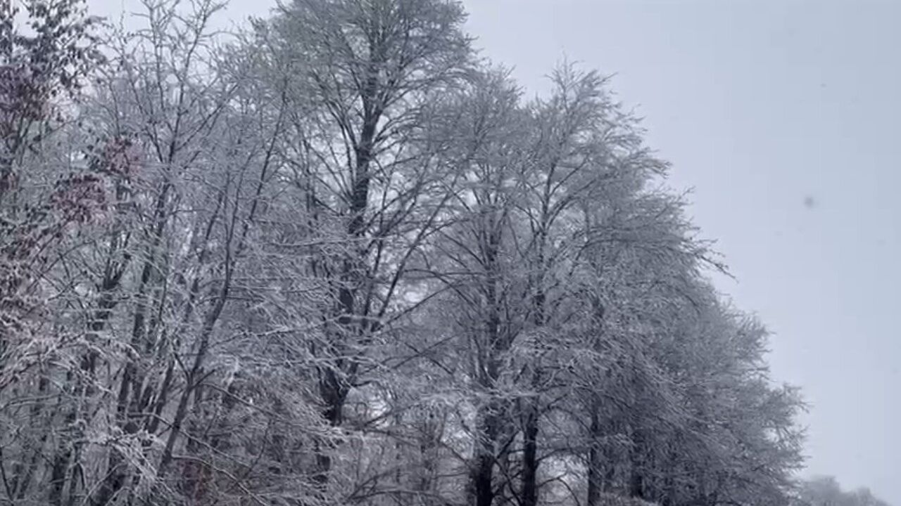 Ordu'da Yüksek Kesimler Beyaza Büründü — Kar 10 cm'e Ulaştı