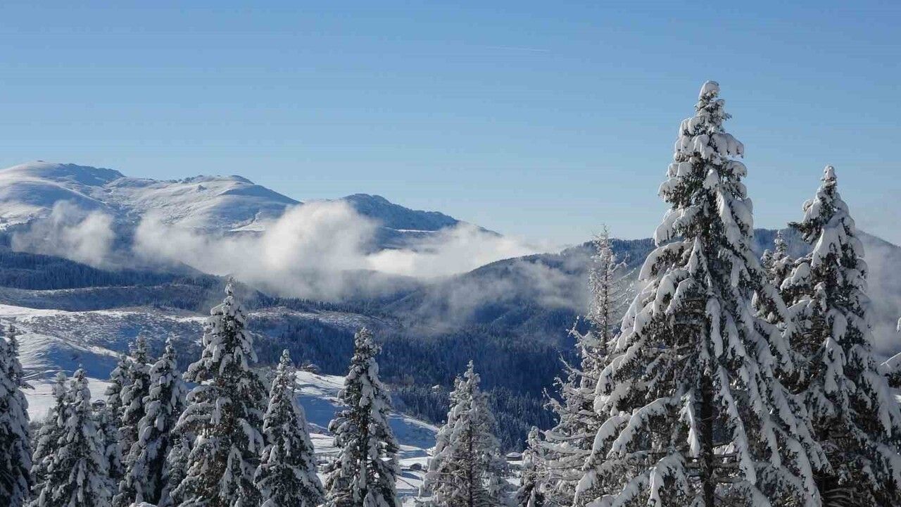 Ordu Kabadüz'te Kartpostallık Kar: Çambaşı Yaylası'nda Koyunlar Dönüşte