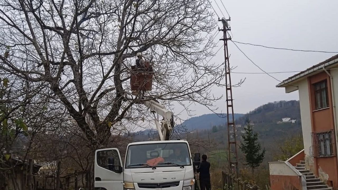 Ordu Kumru'da Elektrik Tellerine Temas Eden Ağaç Dalları Planlı Kesildi