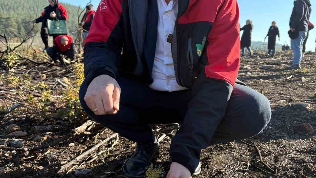 Orhaneli'de 188 Fidan 'Yeni Doğan Ormanı'nda Toprakla Buluştu