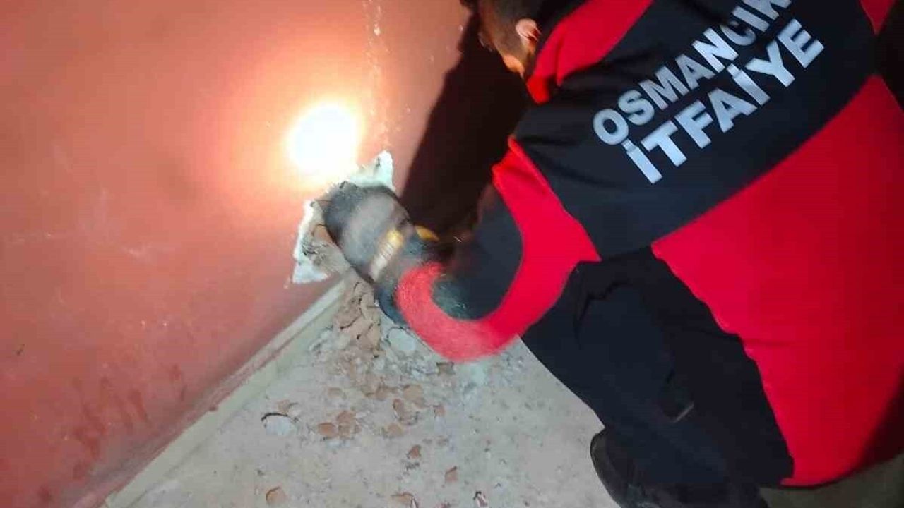 Osmancık'ta Havalandırma Boşluğuna Düşen Kedi İtfaiye Tarafından Kurtarıldı