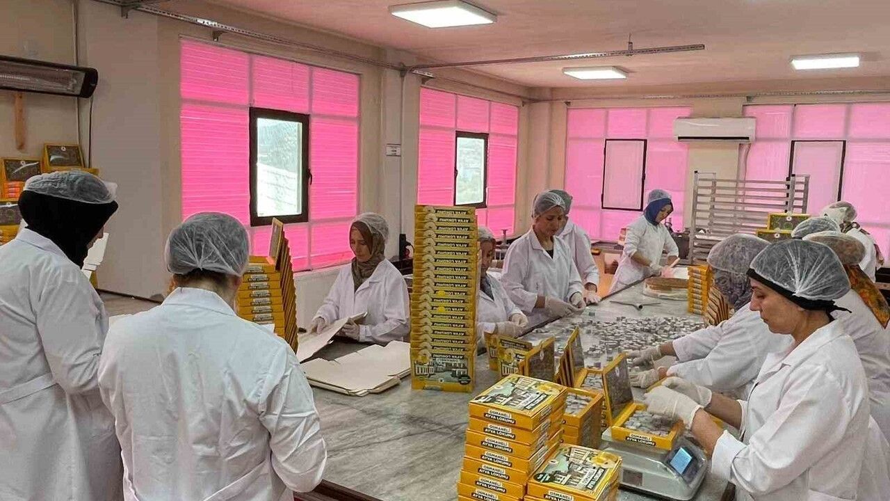 Osmaneli Ayva Lokumu Türkiye’ye Açıldı — Üretim, İstihdam ve Ciroda Sıçrama