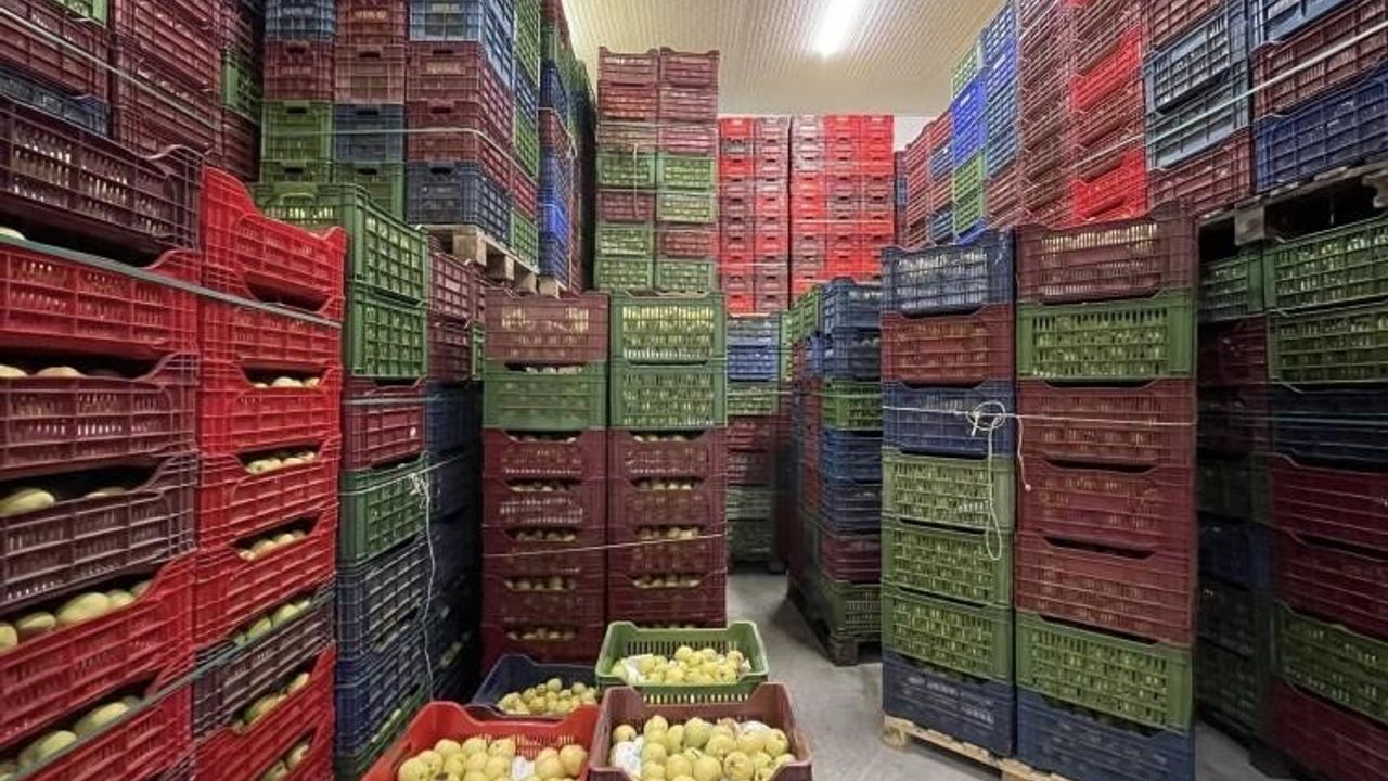 Osmaneli Soğuk Hava Deposu %100 Kapasiteyle Hizmette