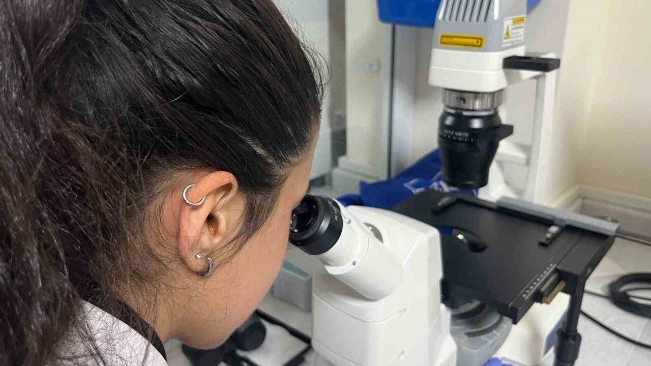 Parkinson’da Bağırsak-Beyin İletişimi Çip Üstü Organla Araştırılıyor