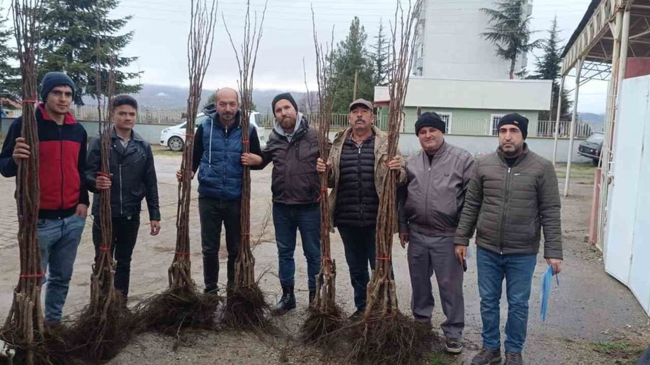 Pazaryeri’nde "Meyveciliği Geliştirme" Projesi: 450 Fidan Dağıtıldı
