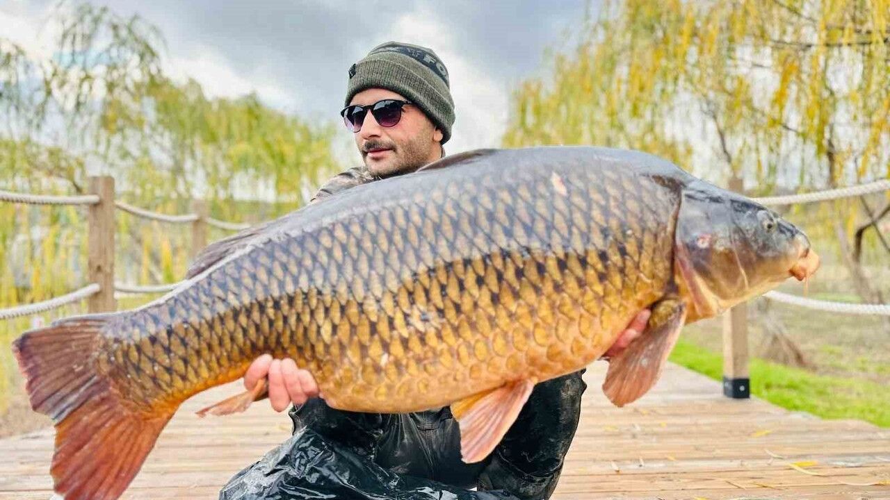 Pelitozu Göleti'nde 21,5 kg'lik Dev Sazan 'Yakala ve Bırak'la Serbest Bırakıldı