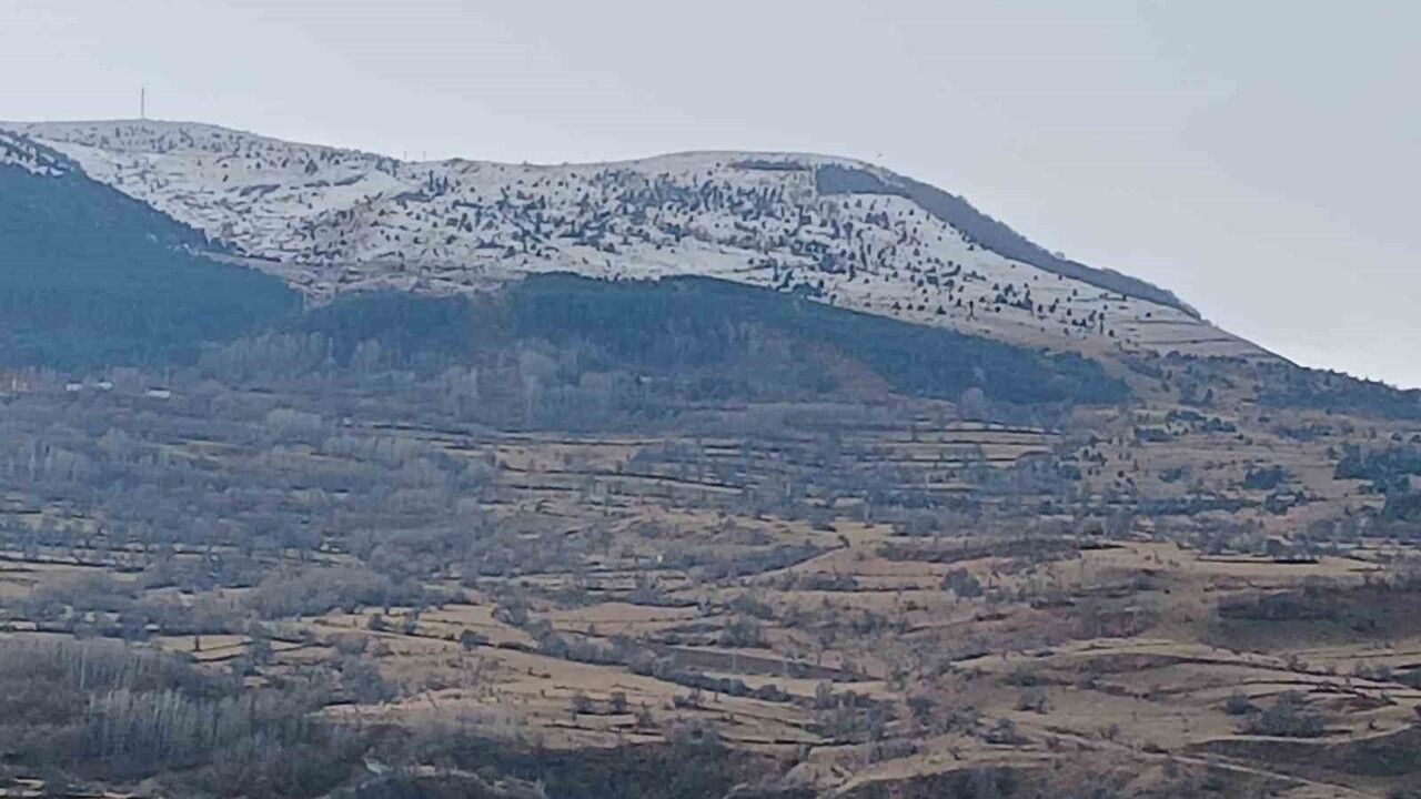 Posof Beyaza Büründü: Ardahan'da Kar Etkili