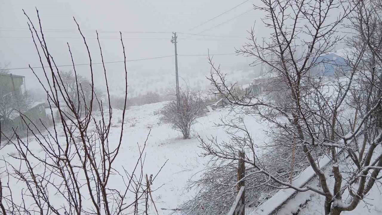 Posof'ta Kar Yağışı Etkili: Ulaşım Aksadı, Buzlanma Uyarısı