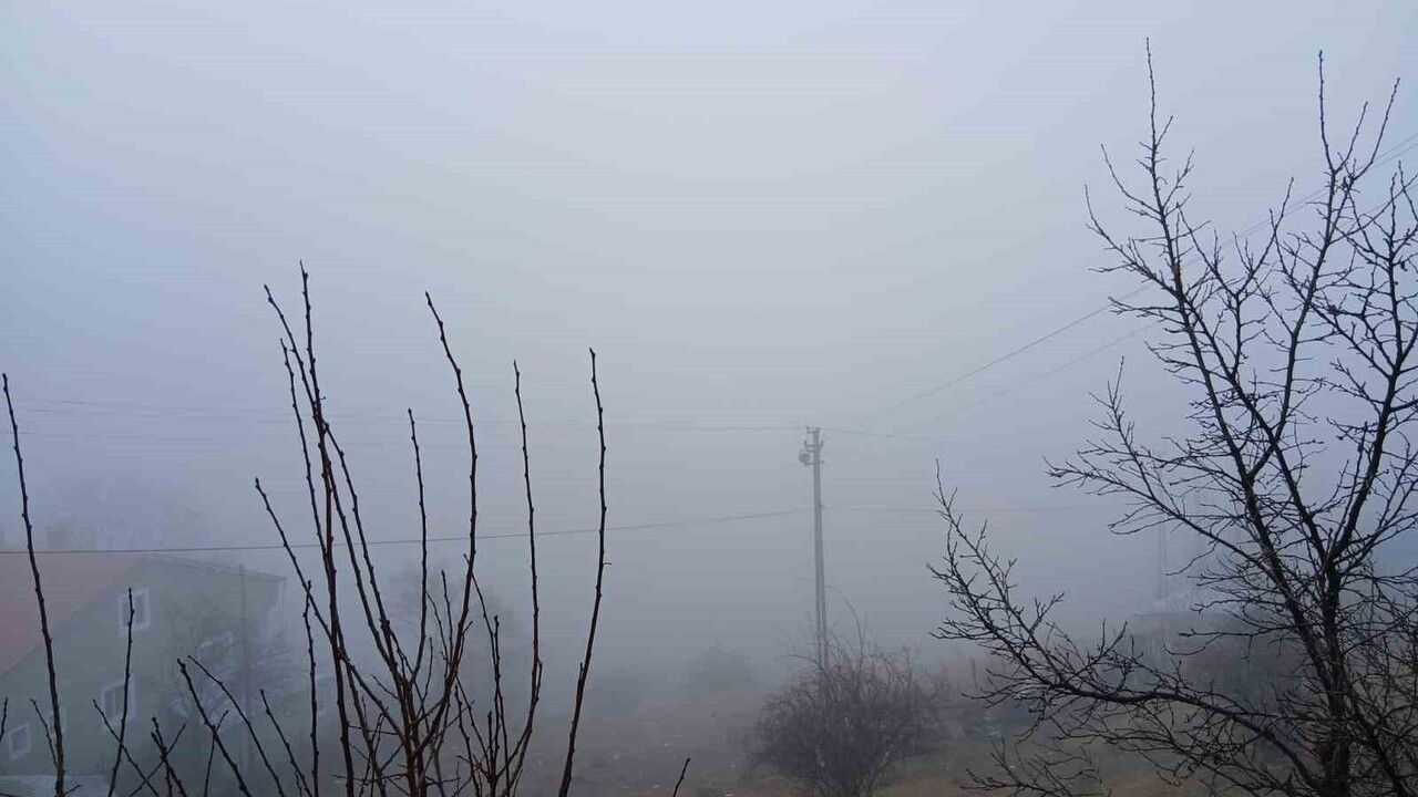 Posof'ta Yoğun Sis Görüş Mesafesini 20 Metreye Düşürdü