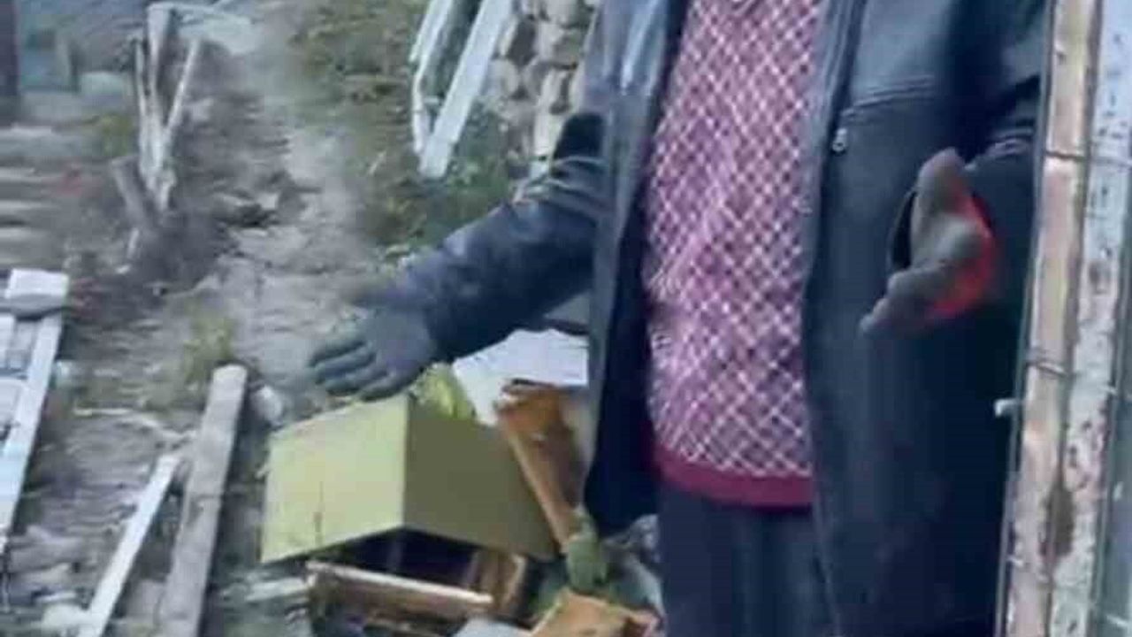 Rize Anzer Yaylası'nda Ayı 30 Kovanı Telef Etti: Anzer Balı Üreticisi İsyanda