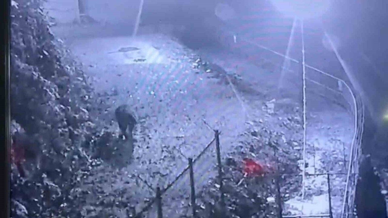 Rize'de Avcıların Yakalayamadığı Ayı Güvenlik Kamerasına Yakalandı