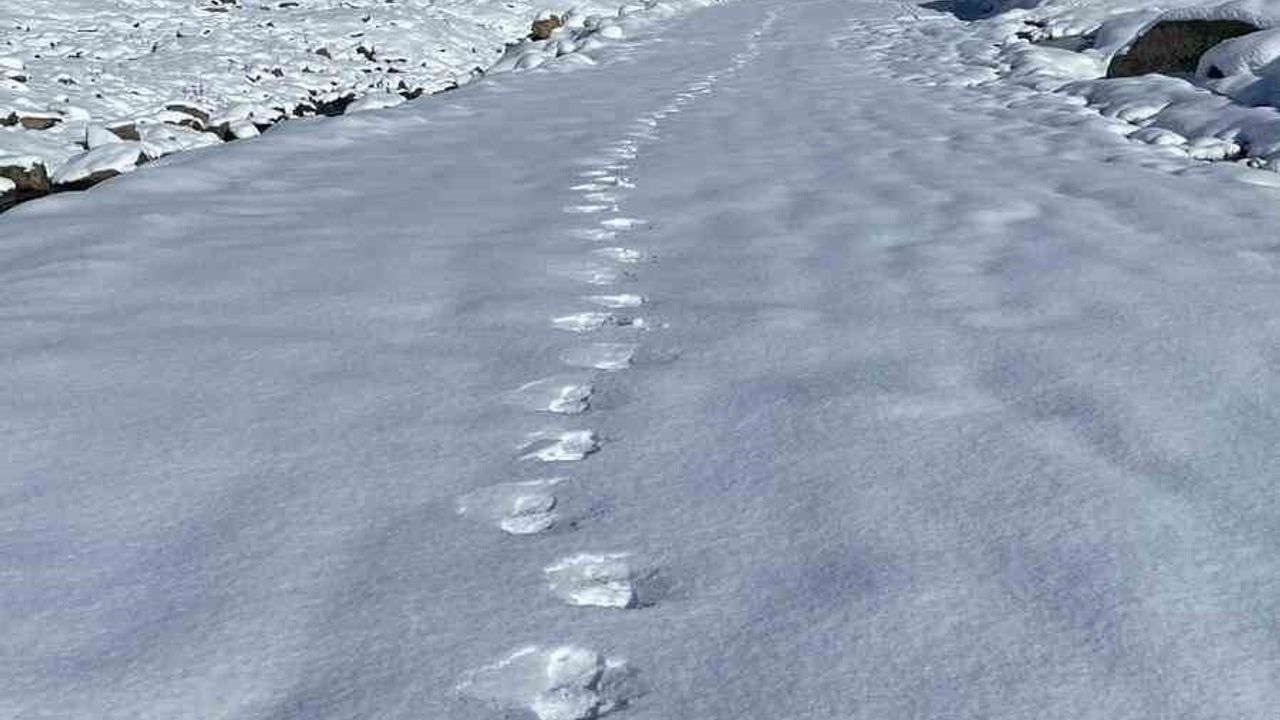 Rize'de Yoğun Kar: Anzer ve Kavrun Yaylaları Beyaza Büründü