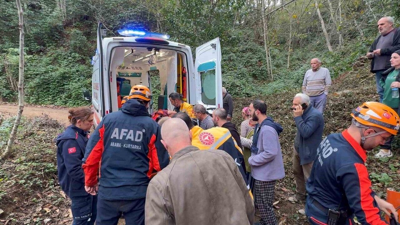 Rize Pazar'da Ağaç Çarpması: Vatandaş Uçuruma Yuvarlandı