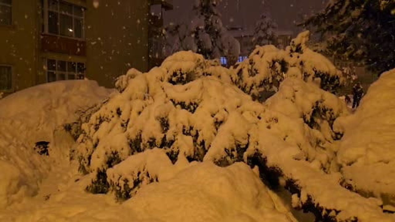 Safranbolu'da Çam Ağacı Kar Yüküyle Devrildi: İki Araçta Hasar