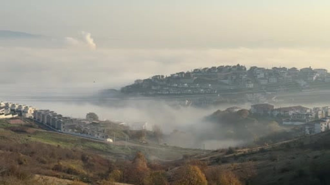 Sakarya'da Gün Doğumunda Sis Kartpostalı