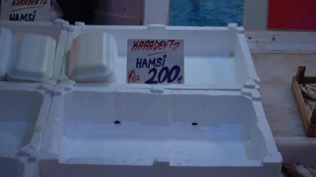 Sakarya'da Hamsi Yerini İstavrite Bıraktı: İstavrit Bolluğu ve Fiyatlar