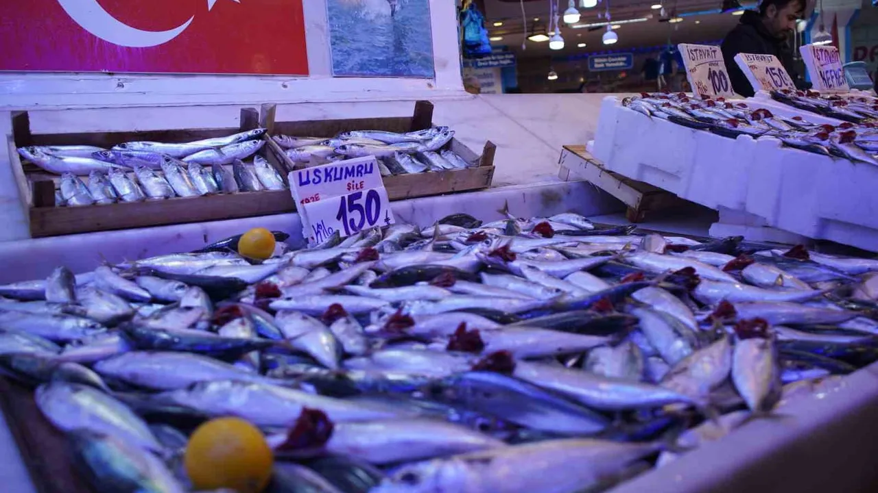 Sakarya'da İstavrit Bolluğu: Hamsi Gürcistan'a Kaydı