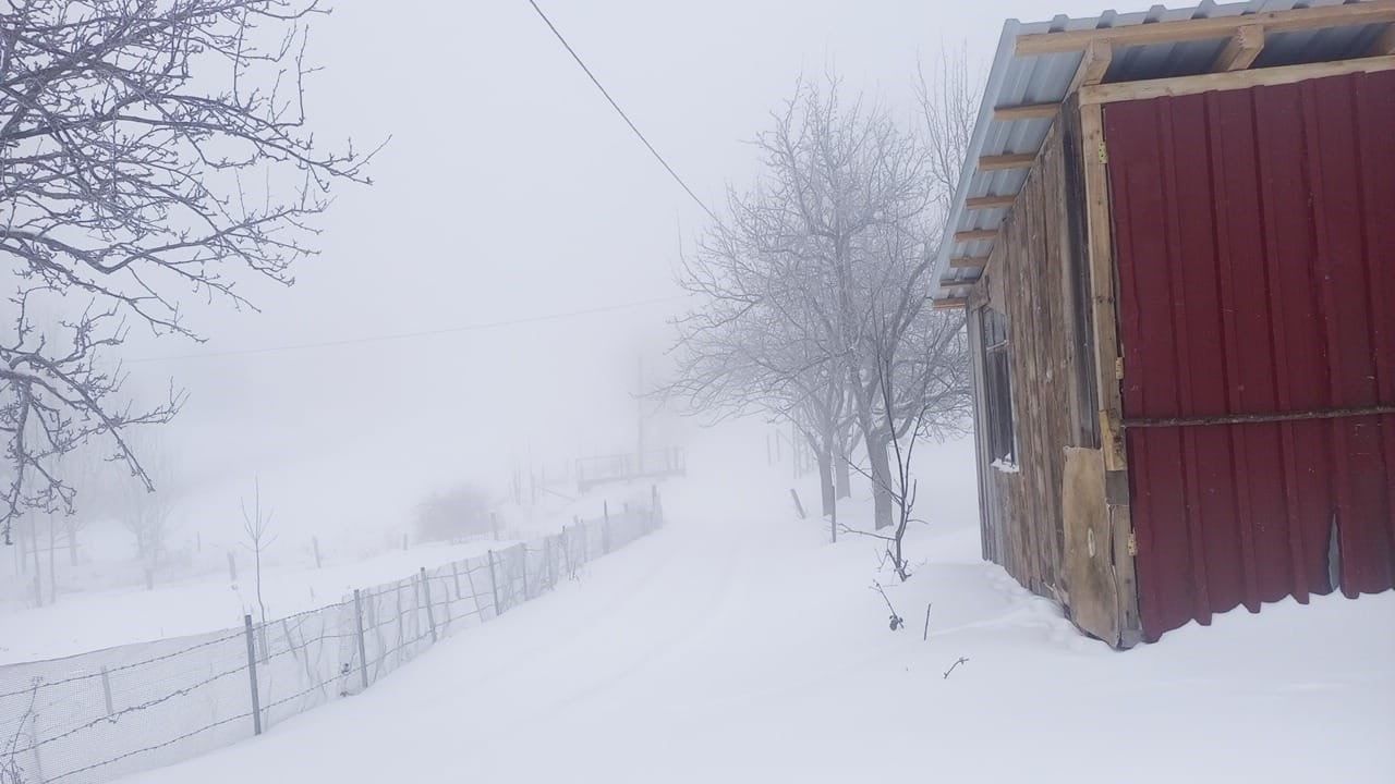 Sakarya'da Kar Etkili: Hendek'te 20 Santimetreye Ulaştı