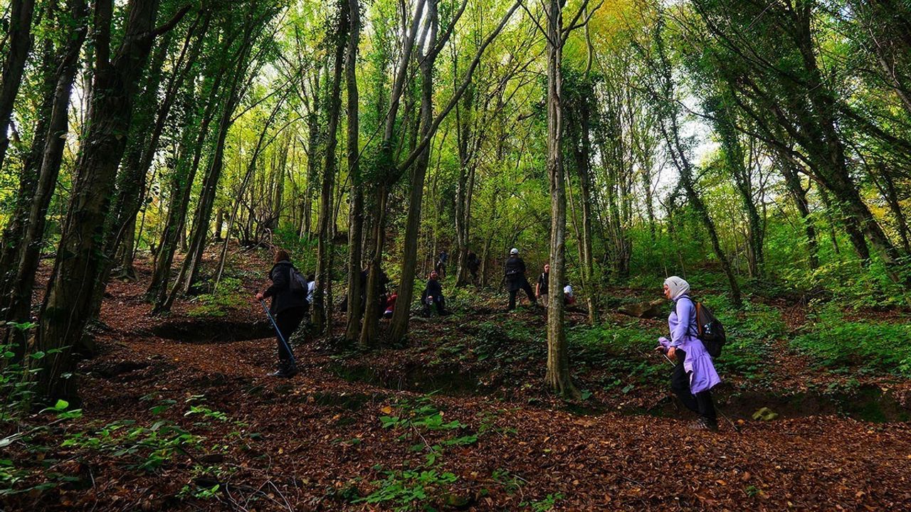 Sakarya'da Sonbahar Doğa Yürüyüşleri: 1 bin 140 Doğasever 9 Rotada