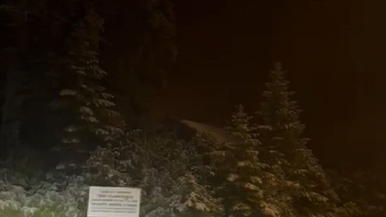 Sakarya Hendek Yaylaları Karla Beyaza Büründü