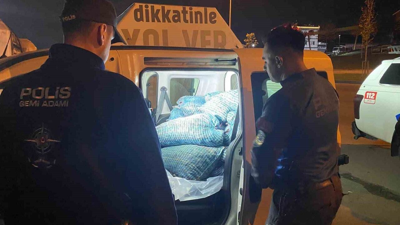 Samsun’da 300 kilo kaçak midye ele geçirildi: 75 bin 540 TL ceza