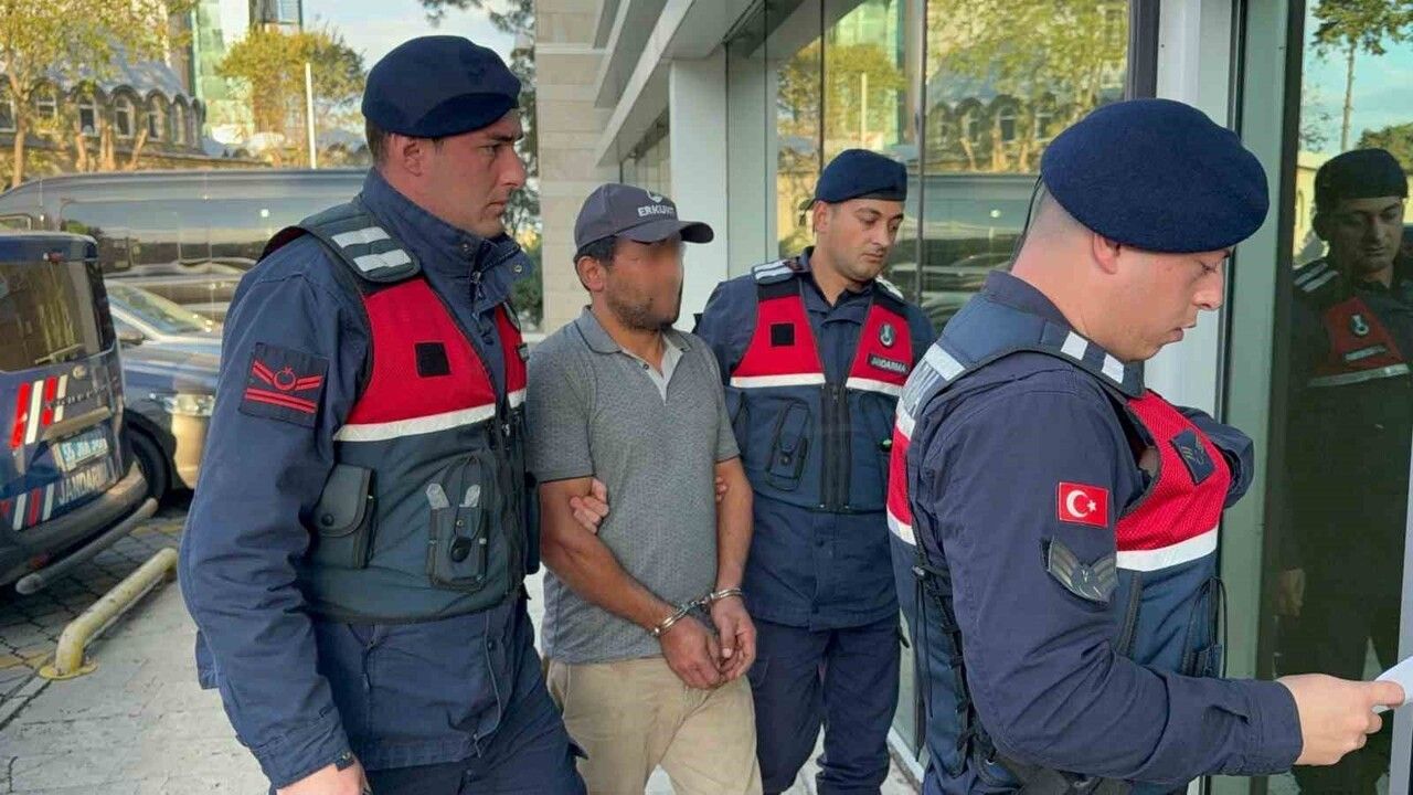 Samsun'da Ağaç Kesimi Kazası: Komşusunun Ölümüne Sebep Olan Şahıs Tutuklandı